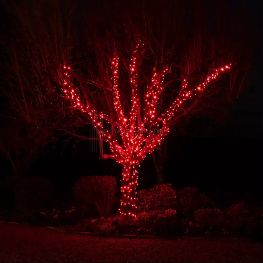 50M 500LED RED CHASING CHRISTMAS FAIRY LIGHTS WITH 8 FUNCTIONS & MEMORY