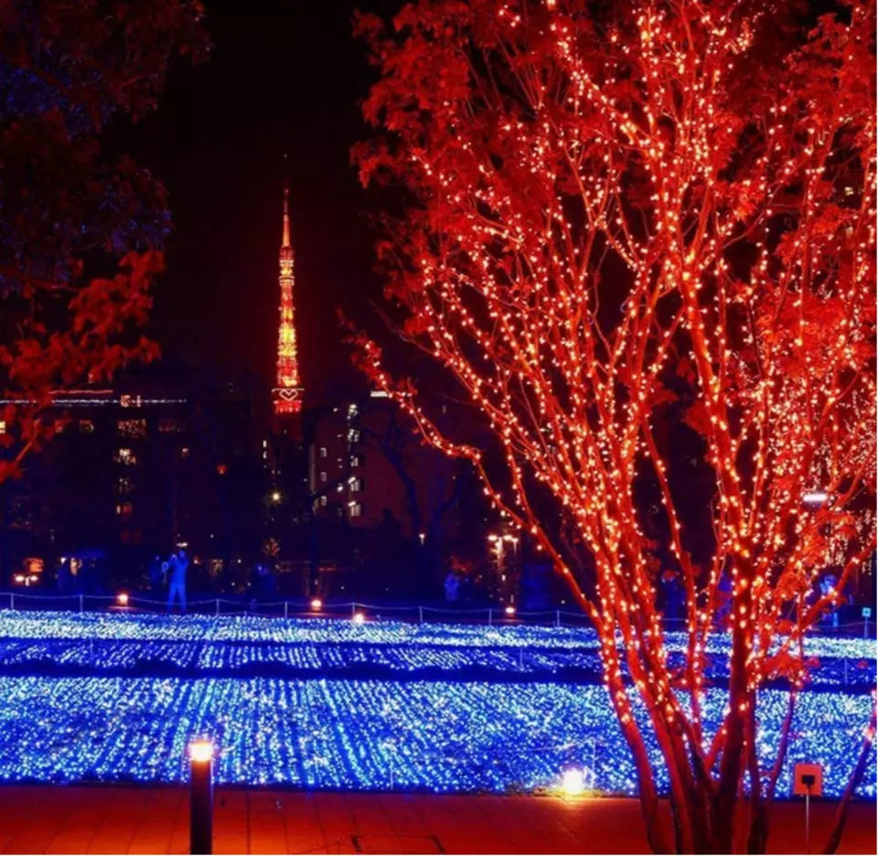50M 500LED RED CHASING CHRISTMAS FAIRY LIGHTS WITH 8 FUNCTIONS & MEMORY