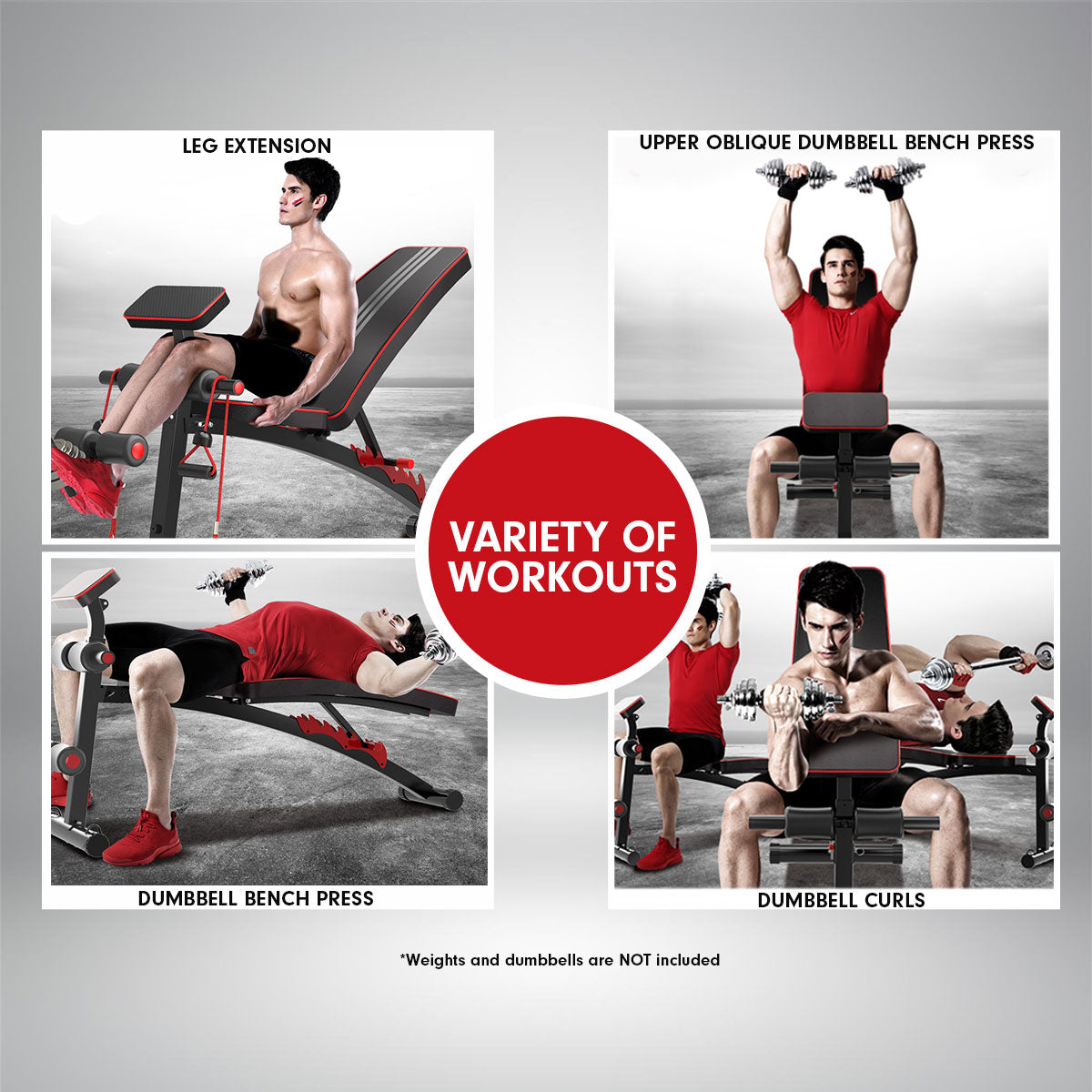 PowerTrain Adjustable Incline Decline Flat Home Gym Bench - 208