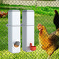 4L Chicken Feeder Water Dispenser