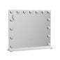 Hollywood Vanity LED Makeup Mirror - 60x52CM