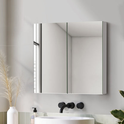 Bathroom Mirror Cabinet Vanity Medicine Shaving Wall Storage