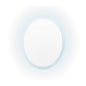 LED Wall Mirror Round Anti-Fog Bathroom 50cm