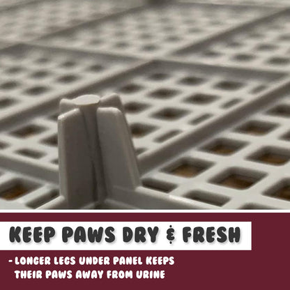 Wine Dog Potty Tray Training Toilet with Raised Walls