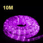 LED 10M 20M 30M Party Christmas Lights Wedding LED Rope Light Waterproof Xmas 🔥 Diameter 12mm PVC hard tube🔥Top Quality 🔥 AU stock